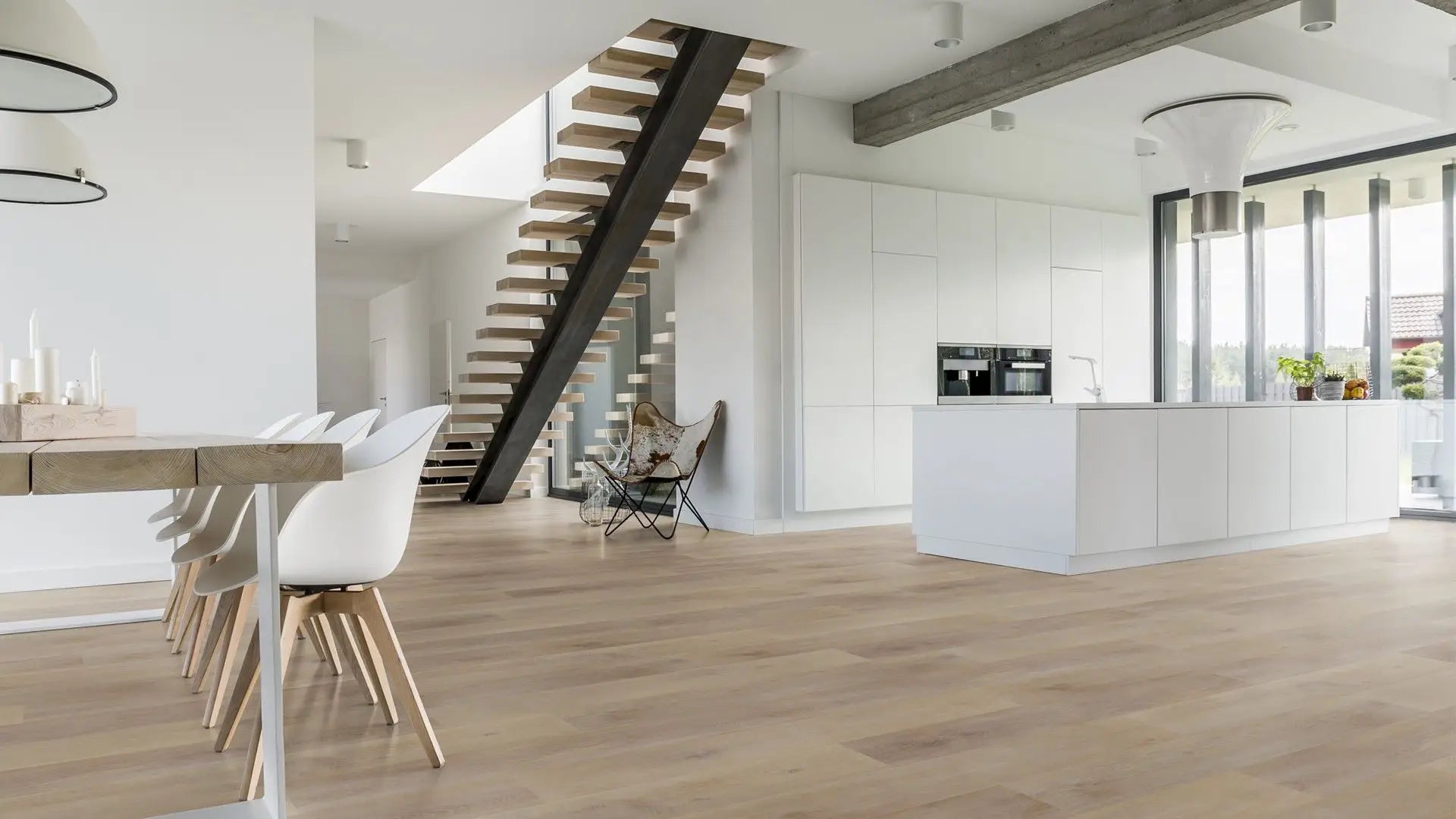 Douwes Dekker - Plank Honing