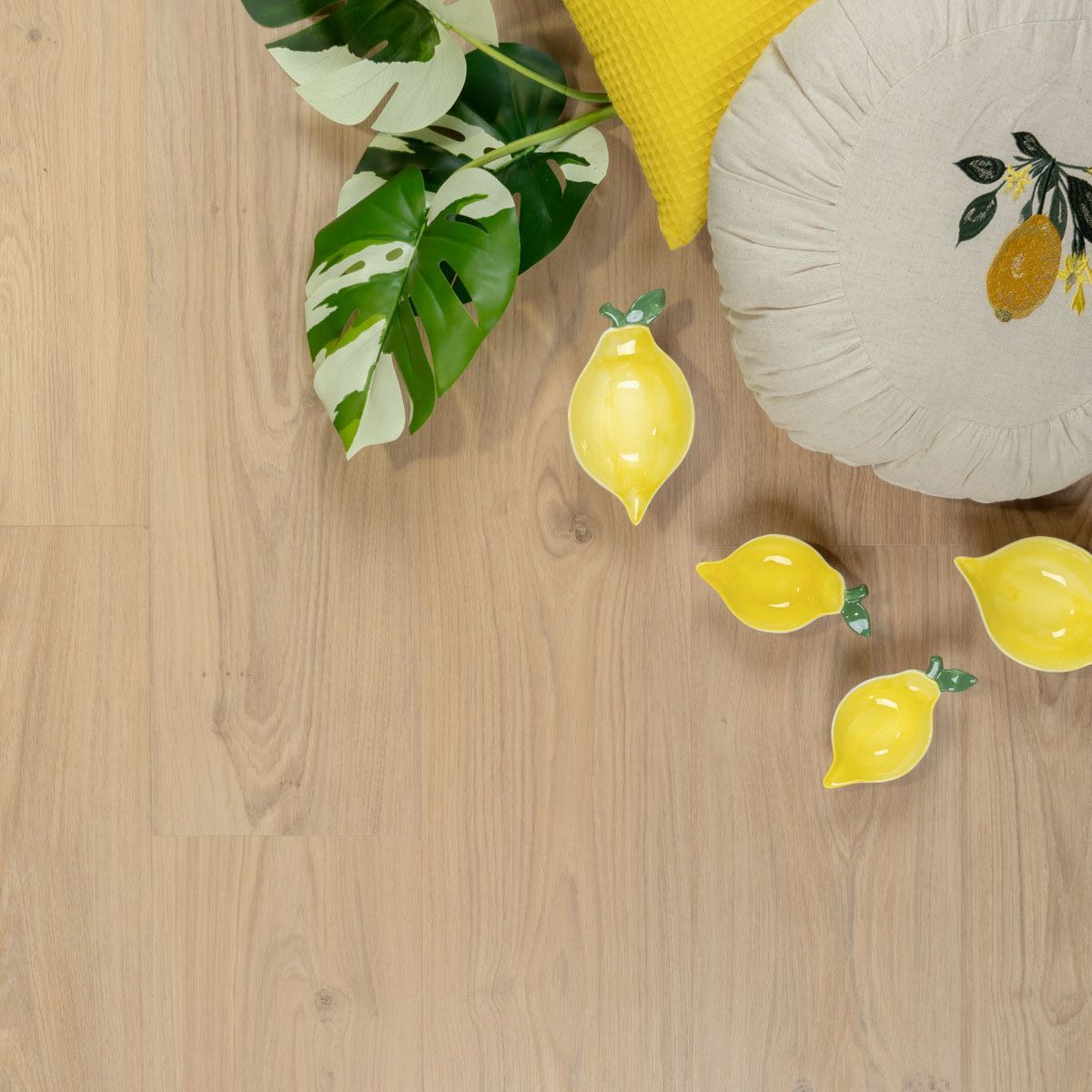 Douwes Dekker - Plank Creme brule