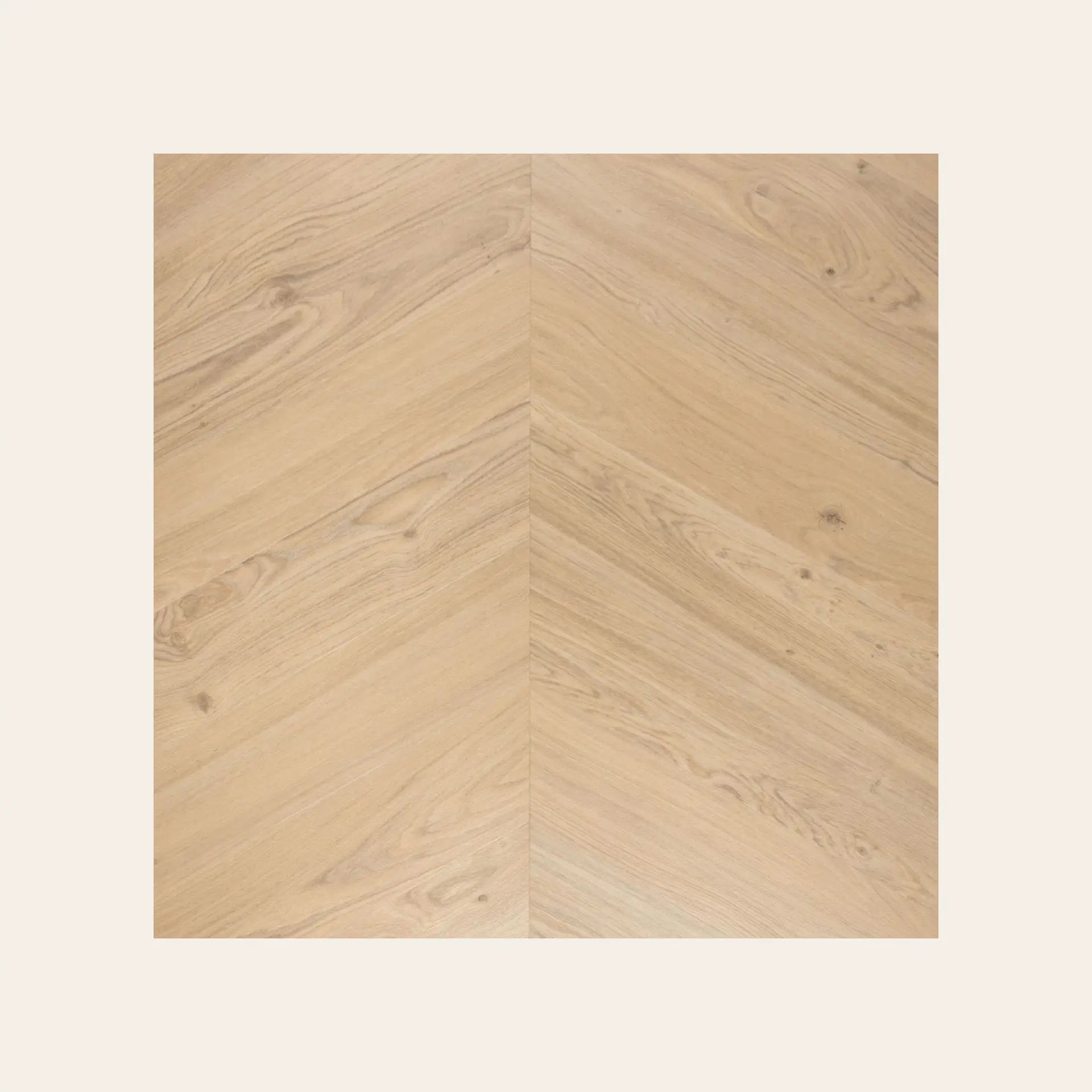 Douwes Dekker - hongaarse punt Creme brule