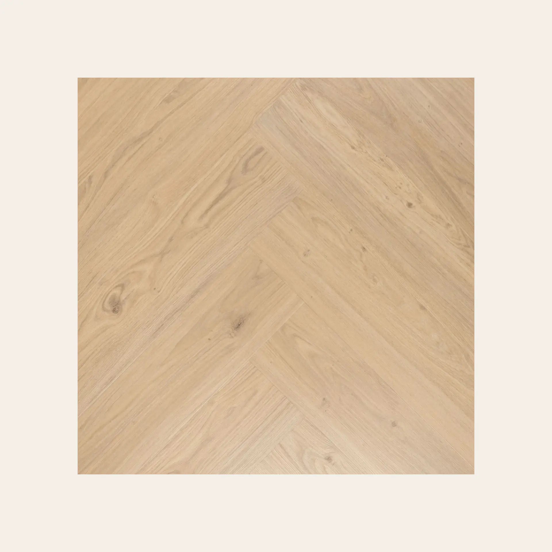 Douwes Dekker - Visgraat Creme brule