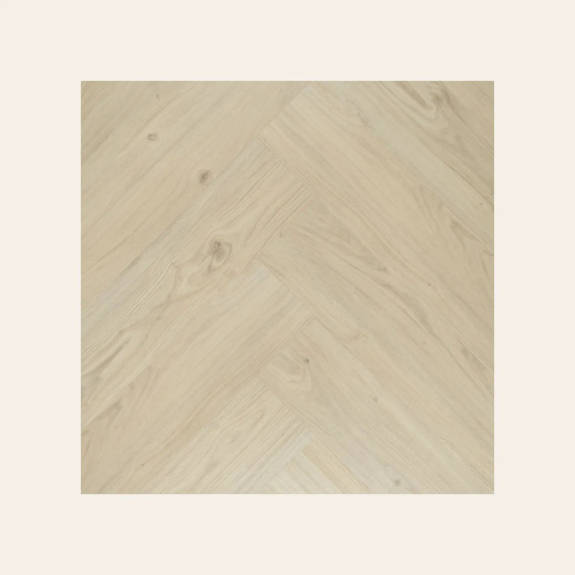 Douwes Dekker - Visgraat Cheesecake