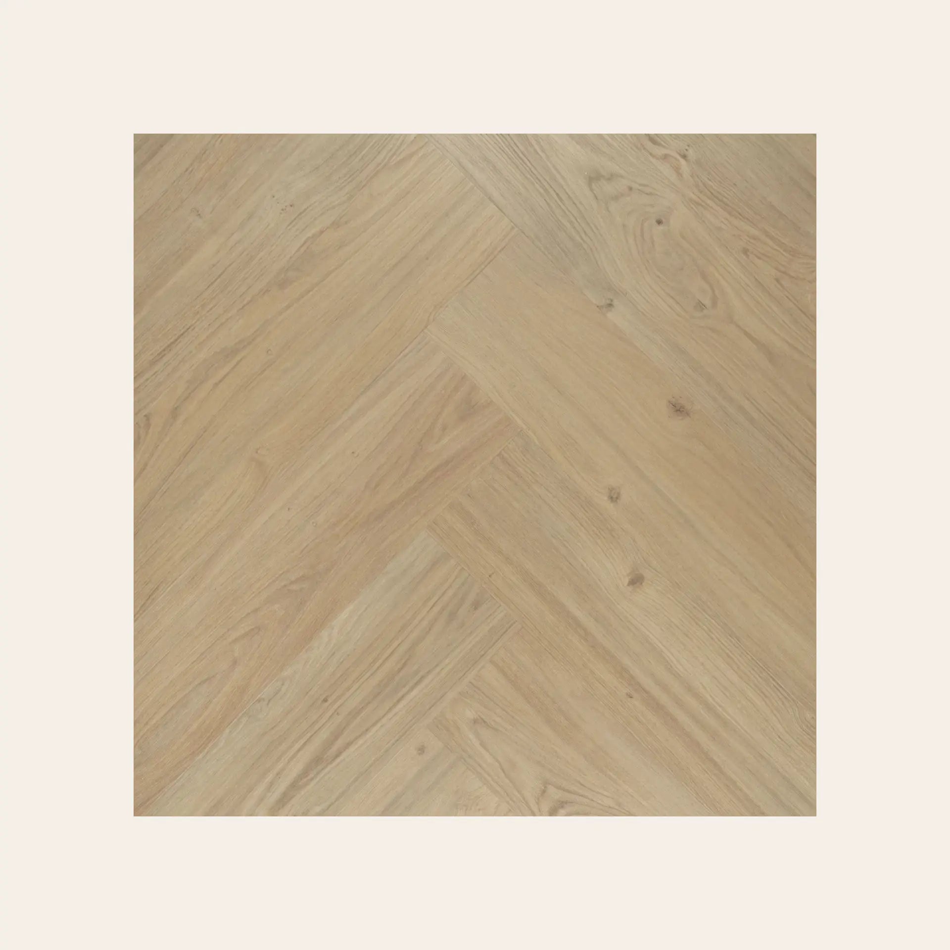 Douwes Dekker - Visgraat Panna Cotta