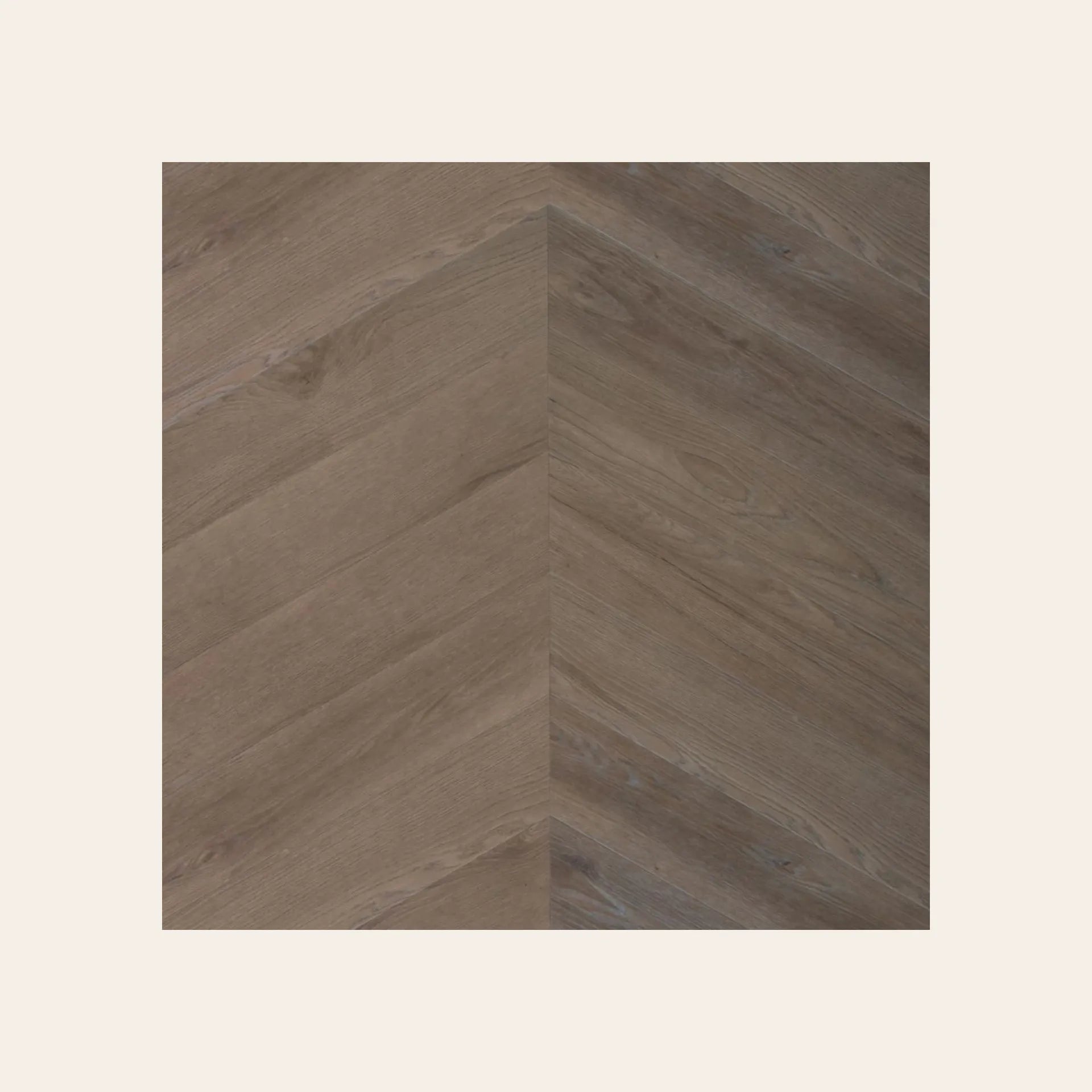 Douwes Dekker - hongaarse punt Spekkoek