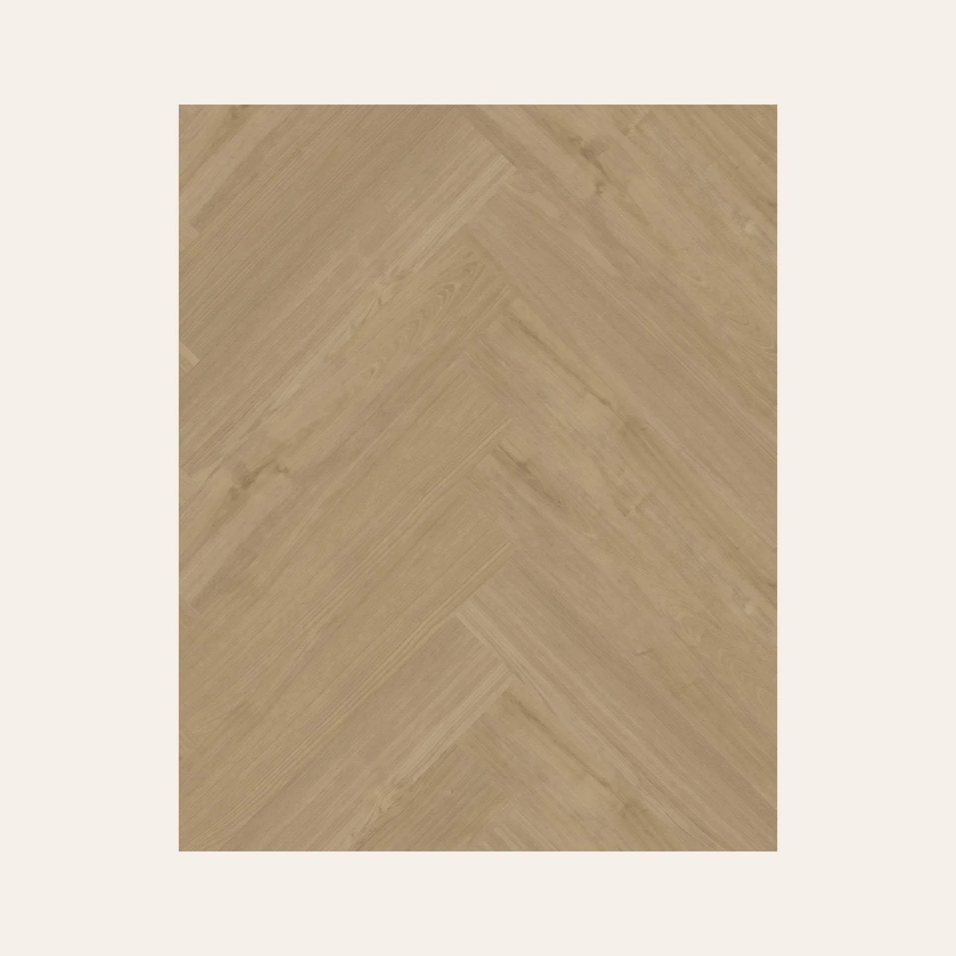 Portico Visgraat XL 54