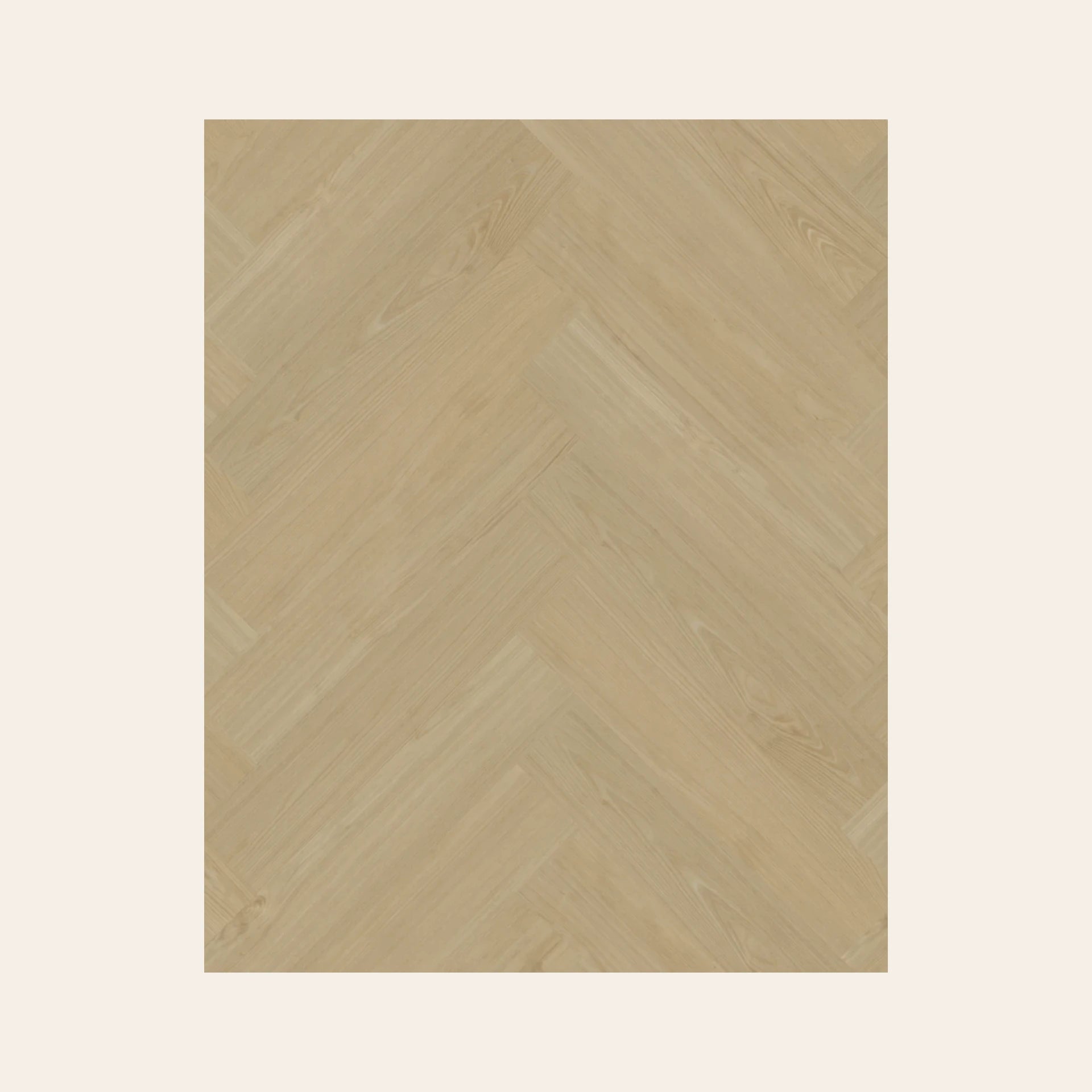 Portico Visgraat XL 55