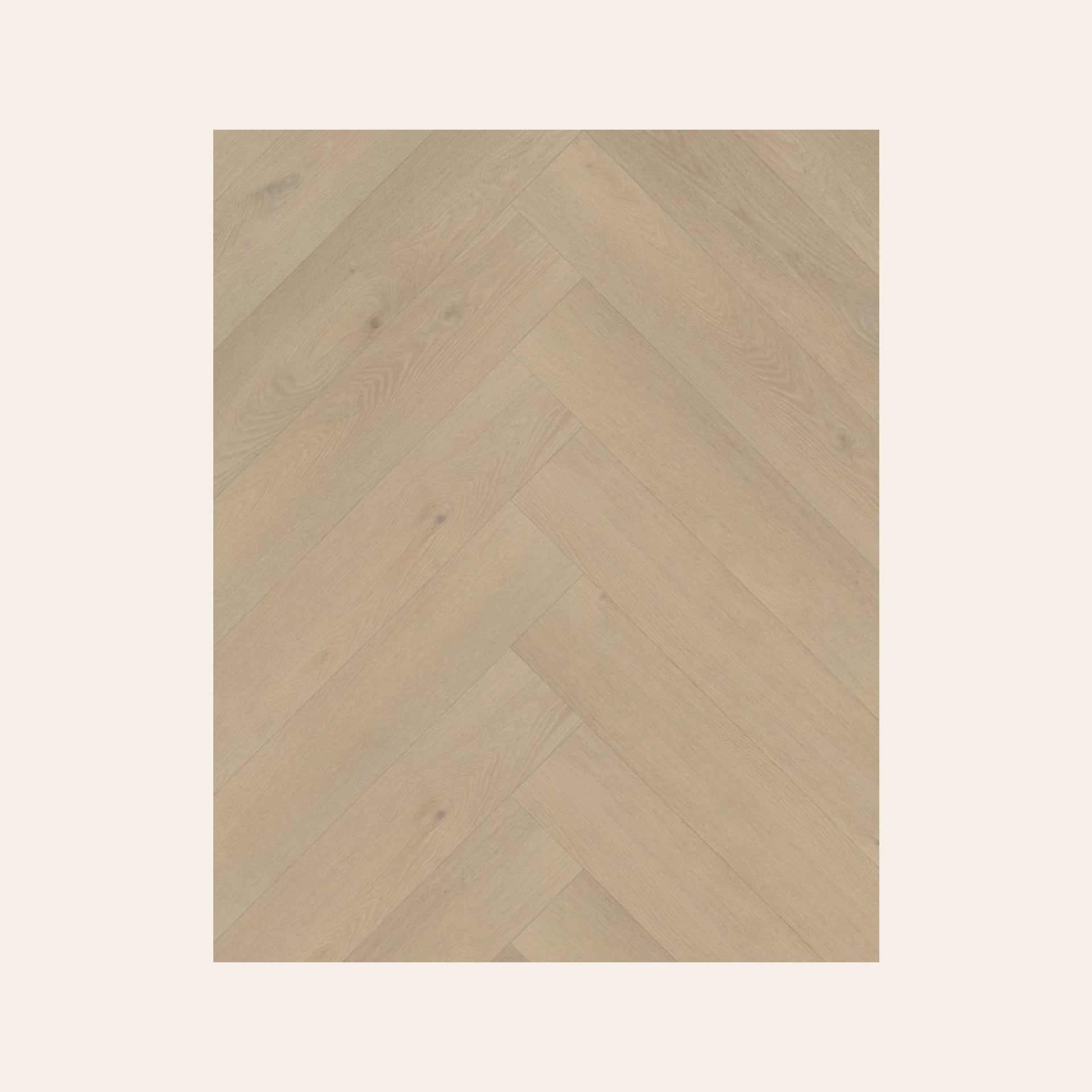 Palazzo Visgraat XL 74